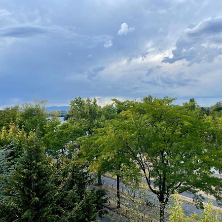 River Main I Taunus View I Workplace I Kitchen Offenbach am Main Bagian luar foto